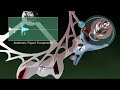 Audemars Piguet escapement Audemars Piguet escapement