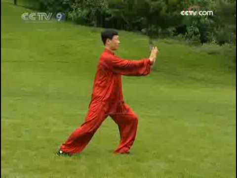 Form 24 – Han Jinsong | Artes Marciales Chinas