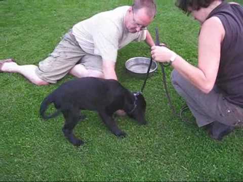 See video