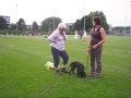 Puppy cursus.wmv