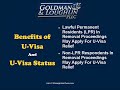 U Visas: U Visa Application Information