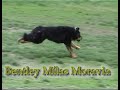 O nejrychlej?� p?ivol�n�