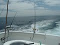 Tuna Fishing - 6 pack off San Diego - Short clip