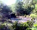 puetnitz 2007