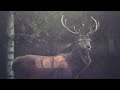 Drum and Bass - LTR - Subconscious [Free Download]