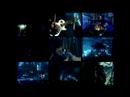 neo - Absolution