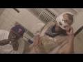 videos de Murc-Camp