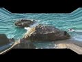 Kefalonia - Platia Ammos beach