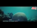 Blue 2009 Part 1 /11 Hindi Movie Watch Online