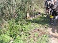 1� Moto Trilha Serra Litoral - Granomel errou a curva!
