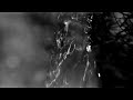 Ignatz: The Water