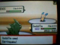 Wifi Battle vs Shadox(Electric Gym)