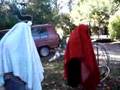 The yip-yips