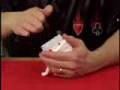 videos de FDULTIMATEAMB red-VIDEO1