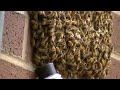 Click here to watch this video Swarm DC 5 23 2012