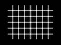 videos de Illusions