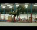 nathan barris training day 08