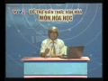 Xem Video
