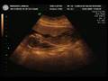 videos de mi bebe a los 4 meses