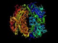 Herceptin (Trastuzumab)