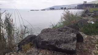 הכנרת  / חוף קיבוץ גינוסר / قرية غوير ابو شوشه / شاطىء مستوطنة غينوسار / ربيع ٢٠٢٢ /