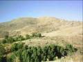 Dedeyaz� & Mehmet Balaman   Aralarda