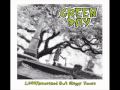 Green Day - 1,039/Smoothed out Slappy Hours - At the Library