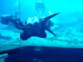 Blue Grotto Spring - Williston, FL