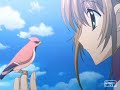 Sakura\
