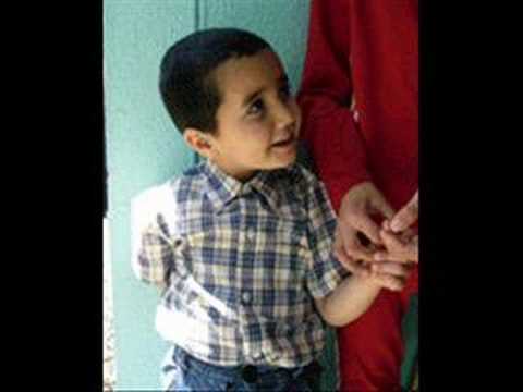 Letter To Parliament-Aram Moosakhanian