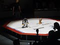 Click here to watch this video 第20回ROBO-ONE オサル6号の第1回戦
