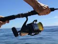Jigging Samson Fish