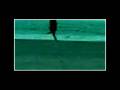 videos de You be the anchor...