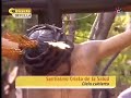 miercoles-santo-andalucia-directo.html
