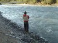 Revenge of the Sockeye
