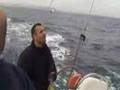 Blue Fin