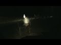 Ulusaba - Lions vs. Hyenas with Wilder beast reward