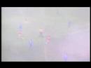 Gauch�o2007 Inter 2 X 1 N.H Inter 2 X 1 N.H