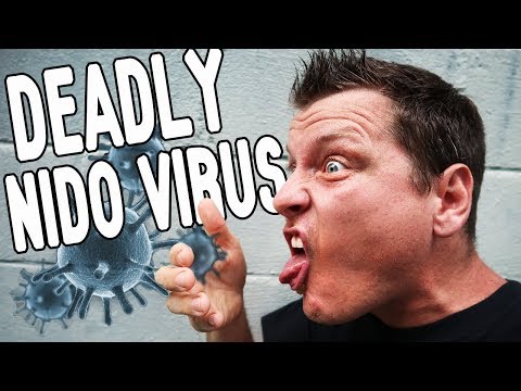 YouTube reptile video