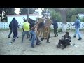 Ikarian Gangster Official Trailer