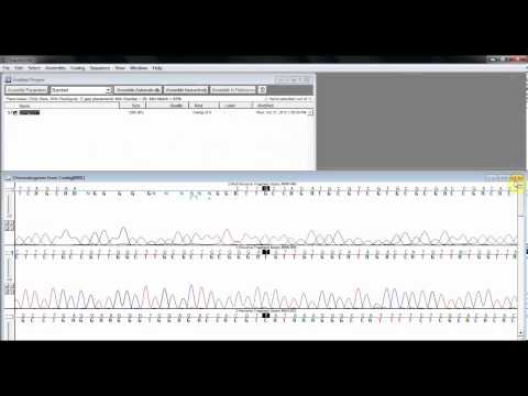 Nucleotide Sequence Analysis Software