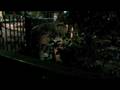 trailernegro08