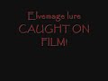 {RS}Elvemage Lure Caught on Film