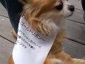 小児がん