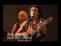 VideoClip Concerts Fira Carrer 2008