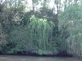 BA delta.AVI BA delta.AVI
