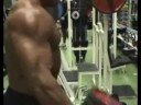 Allenamento dei bicipiti brachiali