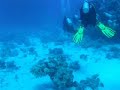 Scuba diving Marsa Alam, Egyptian Red Sea