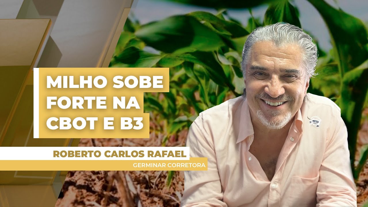 Cotações do milho sobem na CBOT e na B3 na tarde desta terça-feira (4)