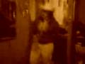 videos de moto 0012